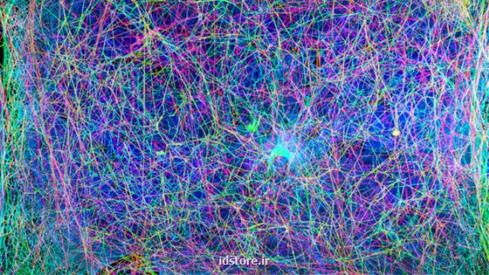 پژوهشگران ساختار تارعنكبوت را به موسیقی تبدیل كردند!