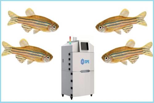 نظارت آنلاین بر بهداشت آب با پایش هوشمند حرکت ماهی ها
