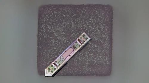 قدرت خواندن ذهن از راه یک دانه نمک!