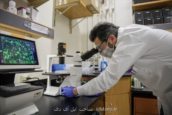 شیوه نامه اجرایی انتخاب پژوهشگر نمونه ابلاغ گردید