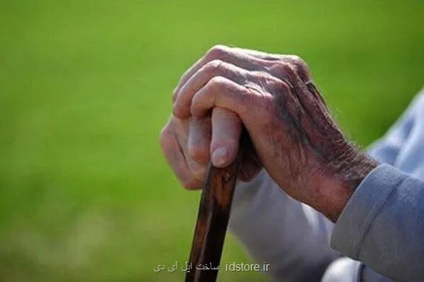 کشف آنزیمی که پیری را معکوس می کند