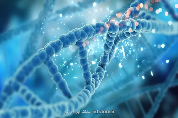 ساخت کامپیوتری مبتنی بر DNA محاسبات بدون نیاز به برق مداوم
