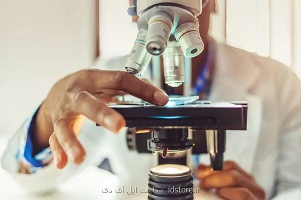 استفاده از قارچ خوراکی برای تبدیل پسماندهای صنعتی به محصولات باارزش