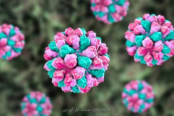 شناسایی یك ویروس خطرناك گوارشی با تلفن همراه