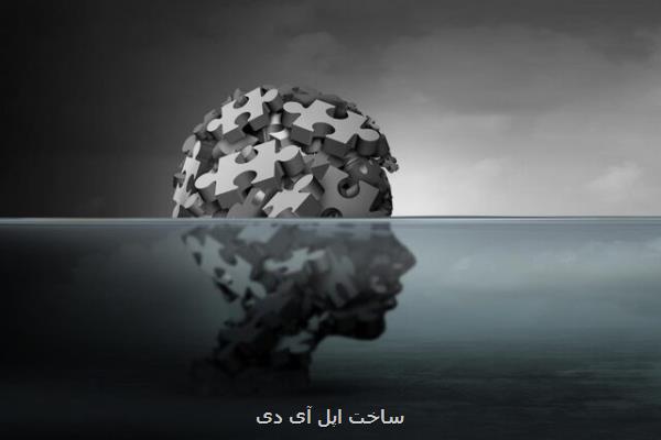 تفاوت شبكه های مغزی در تمایل به خودكشی نقش دارد
