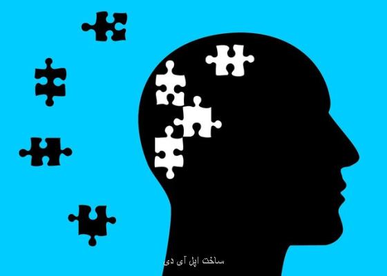 پروتئینی كه به مقابله با آلزایمر كمك می نماید
