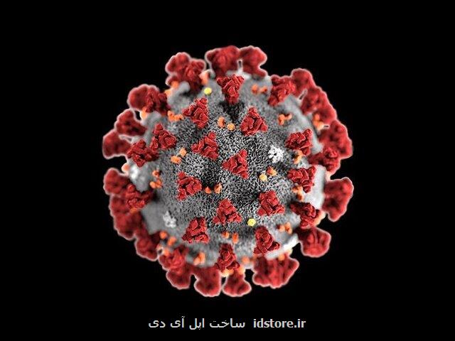 التهاب ناشی از افزایش سن، مرگ و میر بیماران كووید- ۱۹ را بیشتر می كند