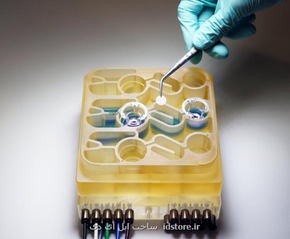 مدل سازی ارتباط میان مغز و روده روی یك تراشه